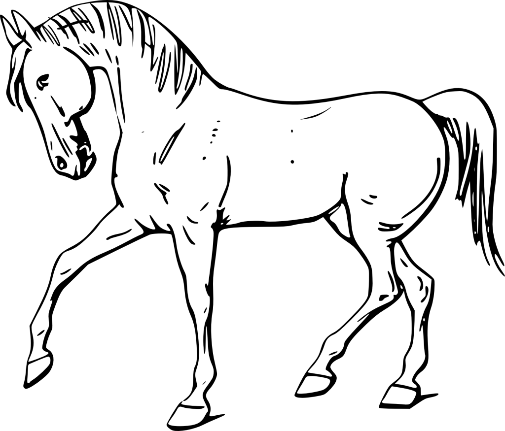 Лошадь без седла