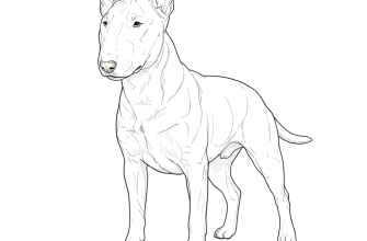 Бультерьер