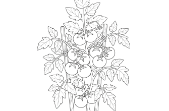 Куст помидоров