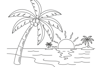 Море пальма и закат