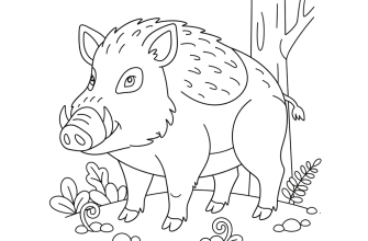 Дикий кабан