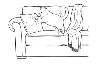 2. Кот британец запрыгивает на диван