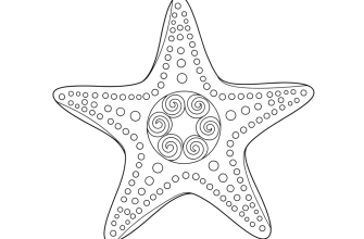 Морская звезда