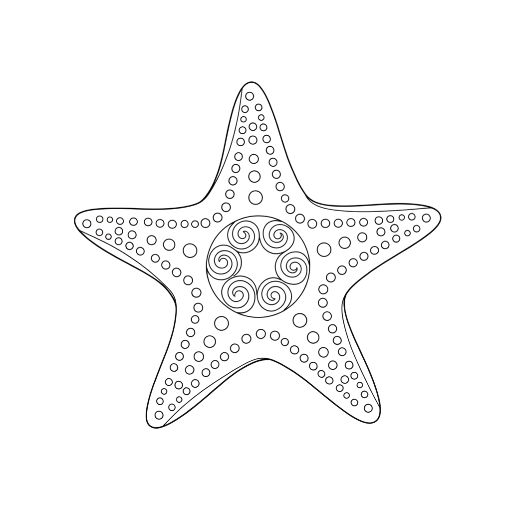 Морская звезда