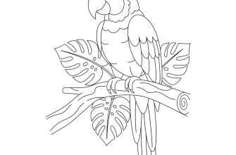 Попугай ара