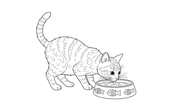 2. Кошка пьёт из миски