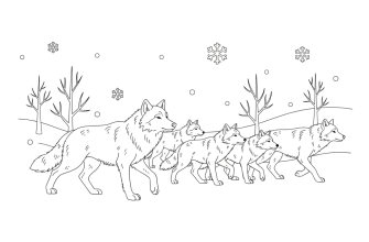 2. Стая волков