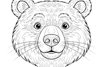 2.Мордочка медведя крупным планом