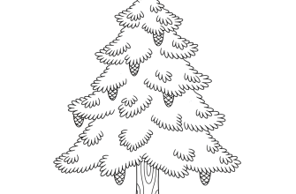 Хвойное дерево