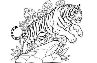 тигр раскраска