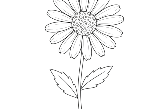 Эскиз Ромашки