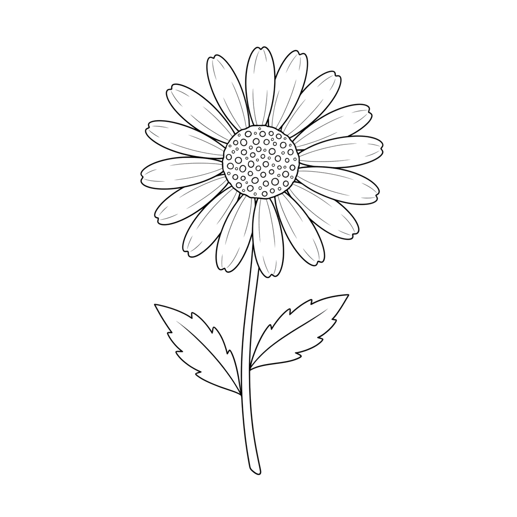 Эскиз Ромашки